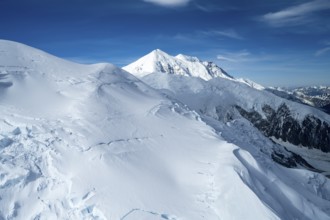 Mt Denali or Mount McKinley with glacier, aerial view, Alaska Range, Denali National Park, Alaska,