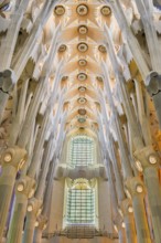 Interior of the Familia Sagrada, religion, Christianity, by the architect Antonio Gaudi in