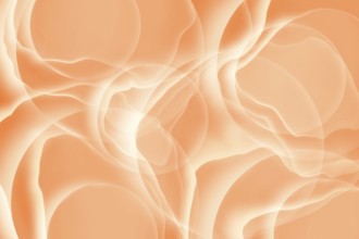 This image features a soothing abstract background with fluid, wavy forms in various shades of