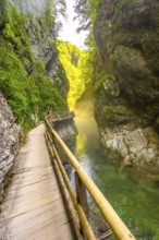 Scenic view of a wooden walkway along the radovna river, surrounded by steep cliffs and lush