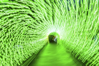 Light, tunnel, in motion, light tunnel, changes light color, light installation at park lights in