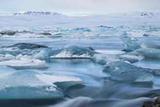 Tranquil beauty of blue icebergs resting on the black sands of Diamond Beach, Iceland. The winter