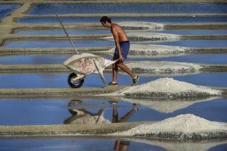 France, Brittany, A man extracting salt in Salants de Guerande, Salants de Guerande, Brittany,