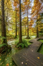 The Botanical Garden of the Ruhr University Bochum, in the district of Bochum-Querenburg, North