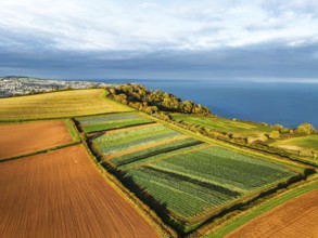 Fields and Farms at evening sun from a drone, Shaldon, Torquay, Devon, England, United Kingdom