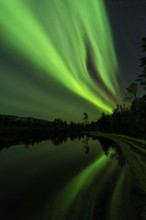 Northern Lights (Aurora borealis) reflected in a lake, Rago National Park, Nordland, Norway,
