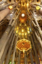 Sunlight illuminating the canopy and crucifix hanging from the ceiling of the sagrada familia in