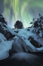 The serene beauty of the northern lights arching through a starry sky above a snow-covered