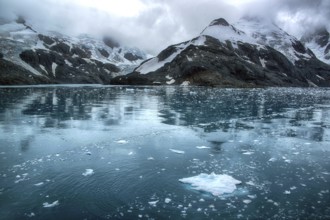Drygalski fjord, South Georgia, landscape, glacier