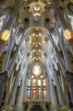 Nave, ceiling vault, columns, Sagrada Familia, Basilica by Antoni Gaudi, Barcelona, Catalonia,
