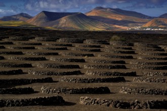 Canary Islands, Lanzarote, La Geria, Lanzarote, Canary Islands, Spain
