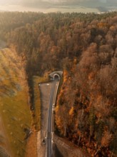 Aerial view of a forest in autumn with tracks and a tunnel illuminated by warm sunlight, new tunnel