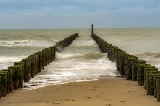 Coastal protection, through wooden posts, paalhoofden, on the beach, breakwater, the piles, some of