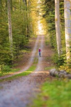 Woman riding her ebike through the autumn forest, Black Forest, Gechingen, Germany