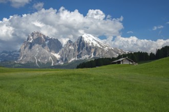 Stunning view of Alpe di Siusi in the Dolomites, Italy, showcasing lush green meadows under a clear