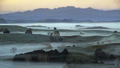 New Zealand, North Island in fog, landscape, clouds of fog, mountains, North Island, New Zealand