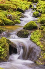 Little creek in the Bavarian Forest Nationalpark. Flowing water, little cascades, mossy stones and