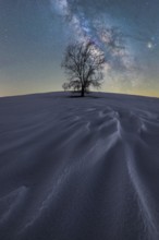 A solitary tree stands on a snow-covered hill under a vibrant night sky in Iceland The Milky Way