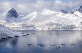 Aerial view of a fish farm in the waters of Husoy, Norway, surrounded by dramatic snow-covered