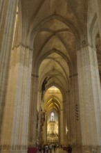 Elongated church tour with detailed Gothic vault, Seville, Andalusia, Spain