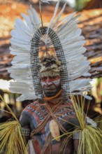 Portrait, warrior with feather decoration and body painting in the village of Upovia, Lake Murray,