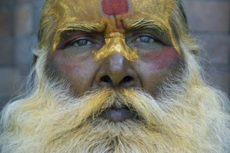 Nepal, Sadhu, Sadhus, Portrait of a Holy Man, Himalayas, Himalayas, Nepal