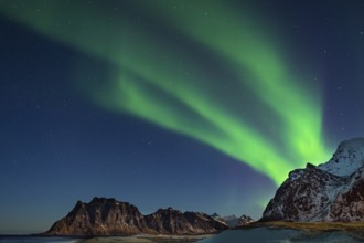 Aurora borealis in green colors over mountain range and coastline at night, Lofoten, Norway