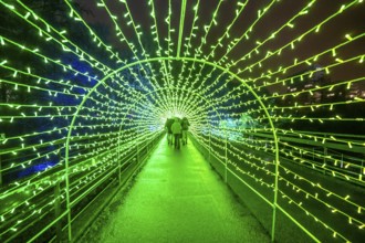 Park lights, events in winter, in the Grugapark in Essen, many different light installations,