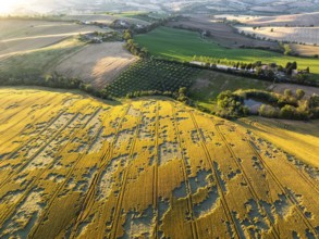 The tranquil beauty of the Italian countryside, with the golden fields of Macerata, lush