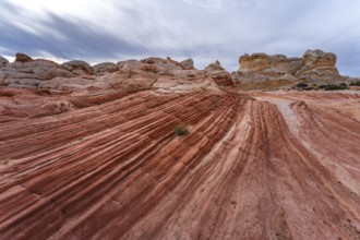 Striking red rock formations and swirling sandstone patterns dominate the landscape at White Pocket