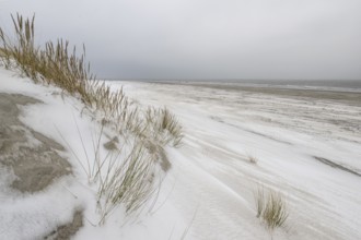 Snow-covered dunes on the North Sea beach, Langeoog, Lower Saxony, Germany