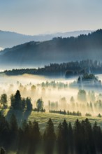 View over the Rothenthurm high moor in the canton of Schwyz, Switzerland