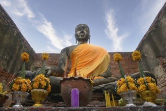 Majestic Buddha statue draped in orange cloth, surrounded by yellow flower offerings in Chiang Mai,