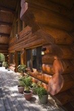 Brown reddish stained Scandinavian log cabin home facade with large chinked logs and grey wood