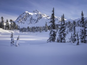 A stunning view of a snow covered mountain range under a clear blue sky, with tall evergreen trees