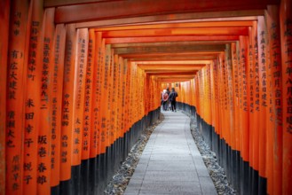 Walk through hundreds of red traditional torii gates, Fushimi Inari Taisha, Shinto Shrine, Fushimi