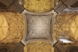 Beautifully decorated vaulted ceiling with complex symmetry and Gothic elements, Seville,