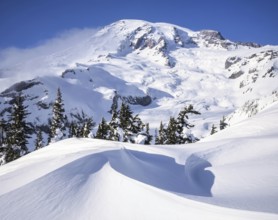 Pristine snow shapes created by strong winds in front of Mount Rainier, Washington during winter