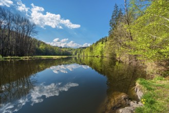 Spring on the river Saale, green forest and clouds are reflected, Burgk, Thuringia, Germany