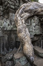 Ta Prohm, Angkor Wat, Angkor, UNESCO World Heritage Site, Siem Reap, Cambodia, Indochina, Southeast