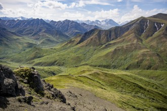 Tundra and mountainous landscape of the Alaska Range, Sable Pass, Denali National Park and