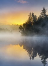 Atmospheric sunrise with wafts of mist over the mirror-smooth moorland lake Étang de la Gruère in