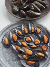 Steamed mussels in open half shells, silver plate on the table and another plate with more mussels