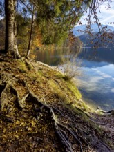 Autumn atmosphere at Hechtsee lake near Kufstein, Tyrol, Austria