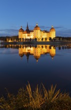 Moritzburg Castle at blue hour, Moritzburg, Meißen County, Saxony, Germany