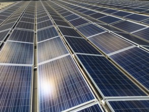 A vast array of solar panels in Switzerland's Brig area efficiently harnesses sunlight. This