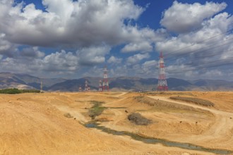 Landscape Oman, Raysut Waste Water Treatment Plant, Tree, Palm, Building, Steppe Eagle, Aquila