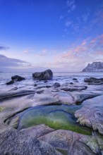 Rocks on beach of fjord of Norwegian sea in winteron sunset. Utakliev beach, Lofoten islands,