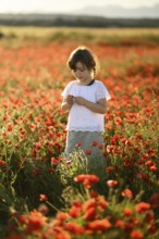 A young girl gently holds a flower while standing amidst a lush field of Papaver rhoeas, commonly