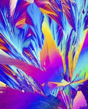 This image captures the stunning microscopic view of Adipic acid crystals, showcasing a vivid array